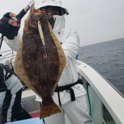 シーライオン 釣果