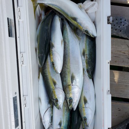 サンマリン 釣果