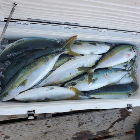 サンマリン 釣果