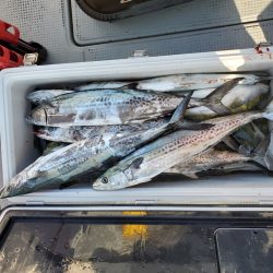 サンマリン 釣果