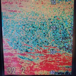 サンマリン 釣果