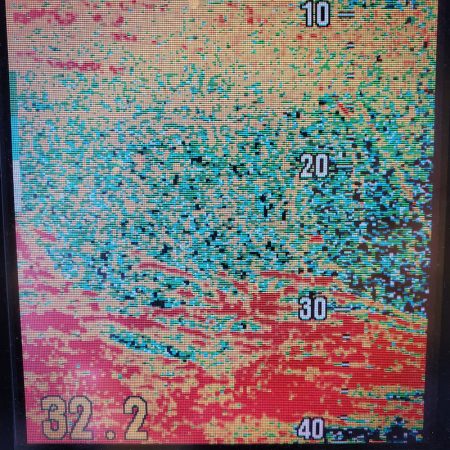 サンマリン 釣果