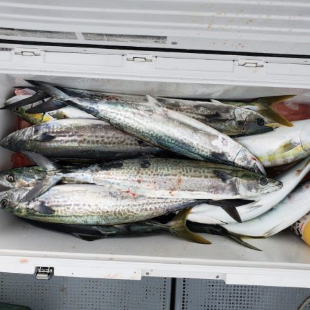 サンマリン 釣果