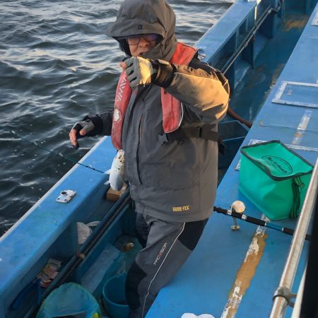 ヤザワ渡船 釣果