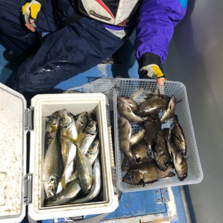ヤザワ渡船 釣果