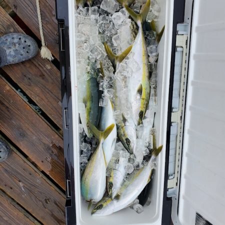 サンマリン 釣果