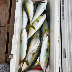 サンマリン 釣果