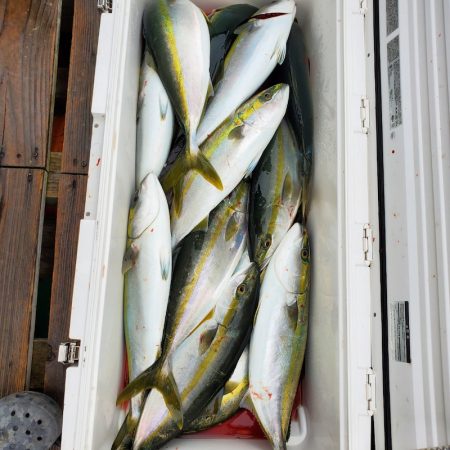 サンマリン 釣果