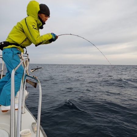 シーライオン 釣果