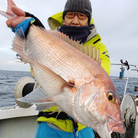 シーライオン 釣果