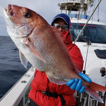 シーライオン 釣果