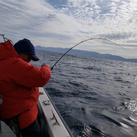 シーライオン 釣果
