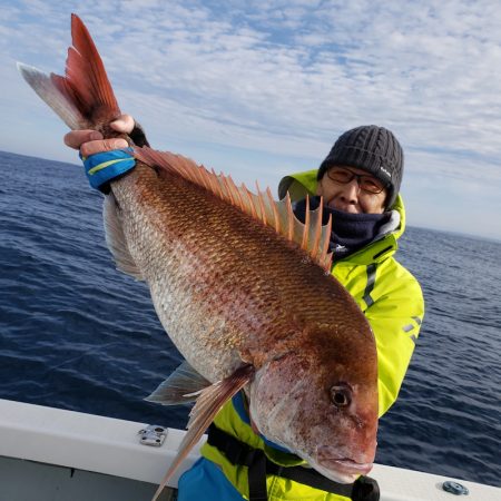 シーライオン 釣果