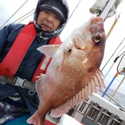 シーライオン 釣果