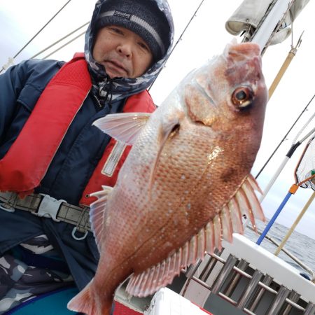 シーライオン 釣果