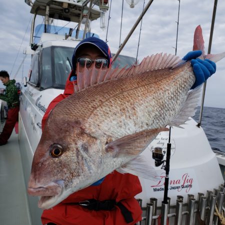 シーライオン 釣果