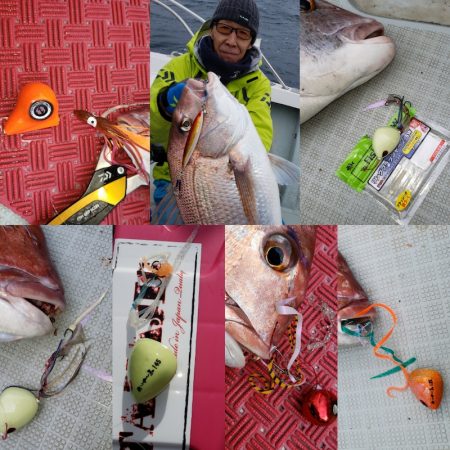 シーライオン 釣果