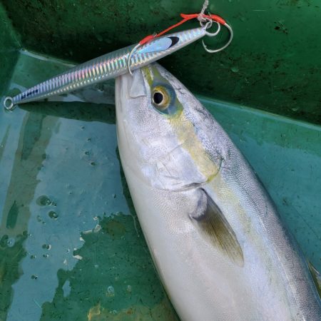 サンマリン 釣果