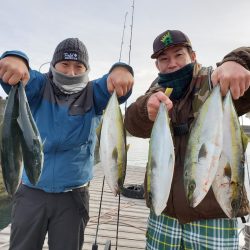 サンマリン 釣果