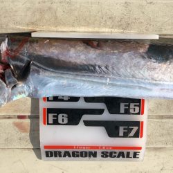 フィッシング キッタカ 釣果