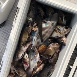 フィッシング キッタカ 釣果