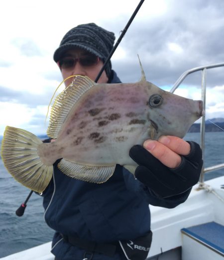 渡船屋たにぐち 釣果