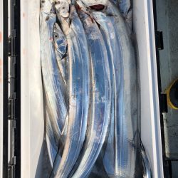 フィッシング キッタカ 釣果