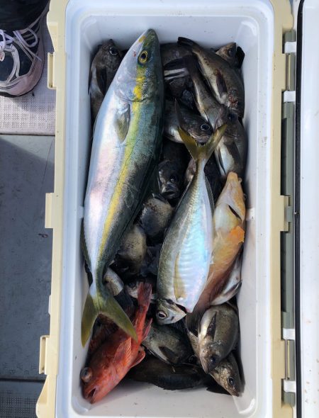 フィッシング キッタカ 釣果