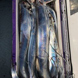 フィッシング キッタカ 釣果