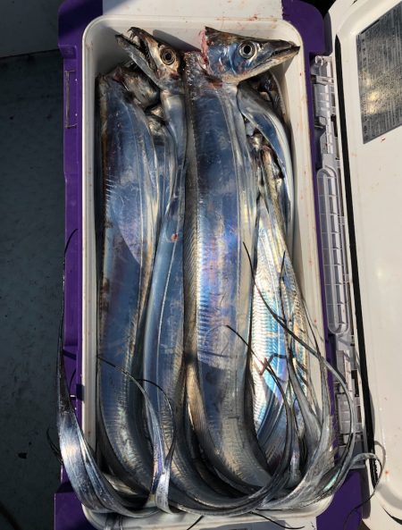 フィッシング キッタカ 釣果