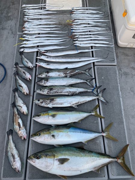 SeaRide(シーライド) 釣果