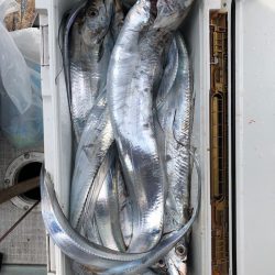 フィッシング キッタカ 釣果