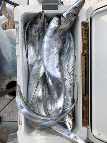 フィッシング キッタカ 釣果