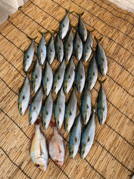 釣人家 釣果