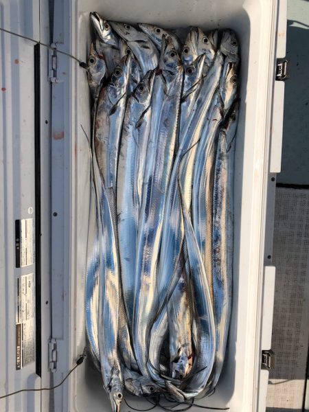 フィッシング キッタカ 釣果