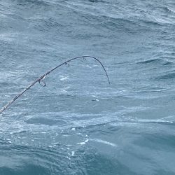 あみや渡船 JIGBOY 釣果