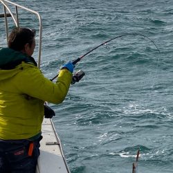 あみや渡船 JIGBOY 釣果