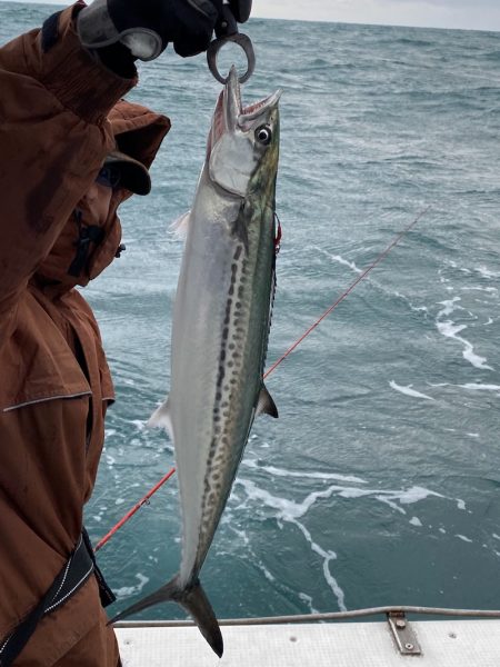 あみや渡船 JIGBOY 釣果