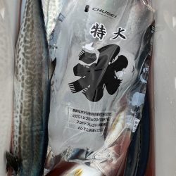 あみや渡船 JIGBOY 釣果