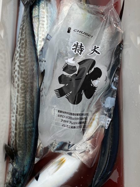 あみや渡船 JIGBOY 釣果