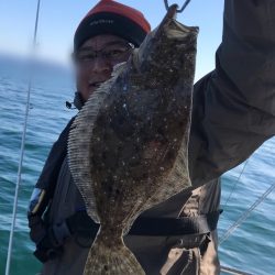 遊漁船メテオ 釣果