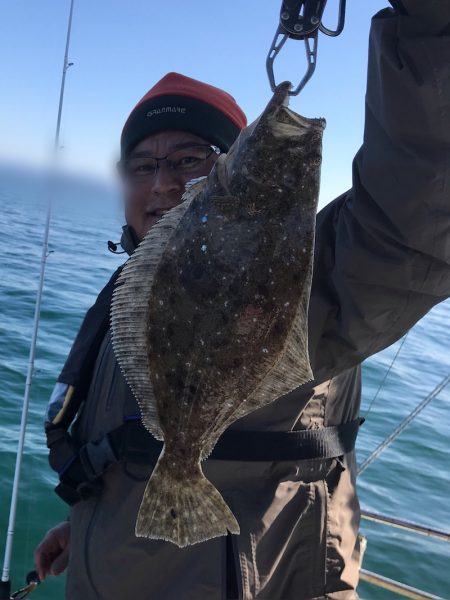 遊漁船メテオ 釣果