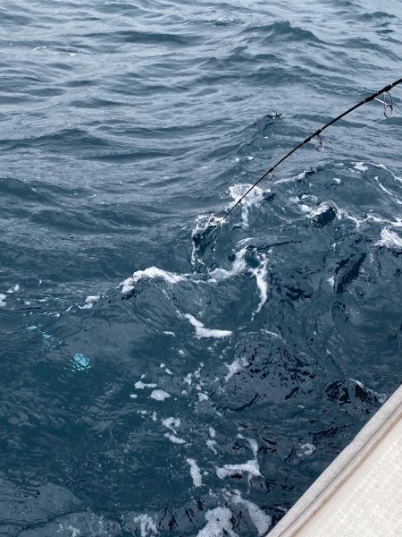 あみや渡船 JIGBOY 釣果