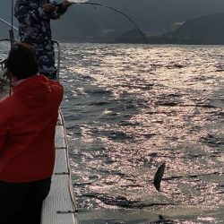 あみや渡船 JIGBOY 釣果