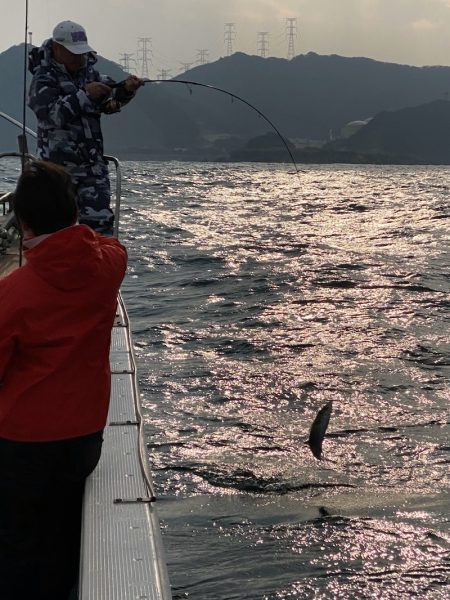 あみや渡船 JIGBOY 釣果