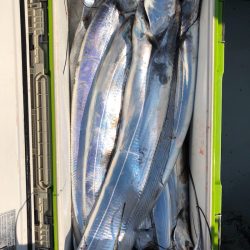 フィッシング キッタカ 釣果