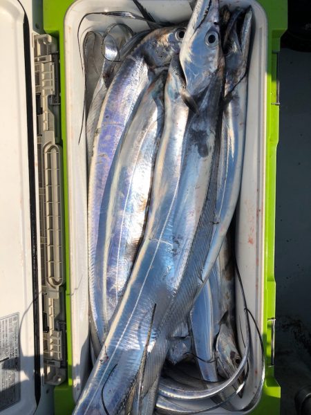 フィッシング キッタカ 釣果