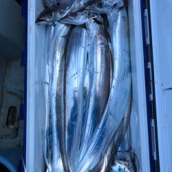 フィッシング キッタカ 釣果