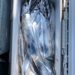 フィッシング キッタカ 釣果