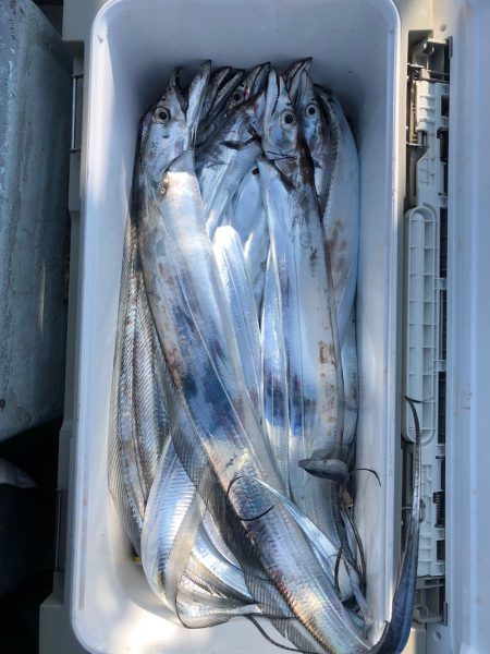 フィッシング キッタカ 釣果